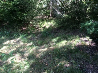 pozemky k.ú. Březín, obec Nečtiny