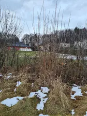 Pozemky Karviná - Ráj, okres Karviná