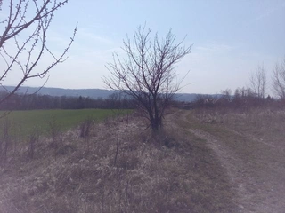 pozemky Lipník nad Bečvou