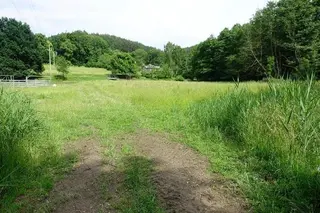 Pozemky Mašov u Trutnova, okres Semily