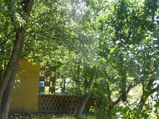 Pozemky Mohelnice