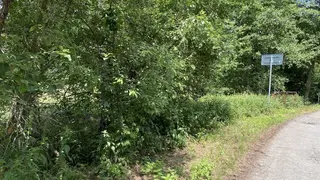 Pozemky 167 m2 Nová Ves u Rakovníka