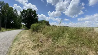 Pozemky 167 m2 Nová Ves u Rakovníka