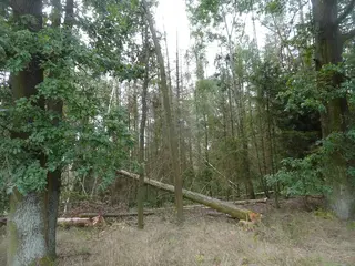 Pozemky obec Chotoviny, k.ú. Liderovice, okres Tábor