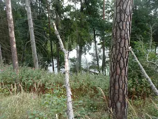 Pozemky obec Chotoviny, k.ú. Liderovice, okres Tábor