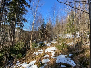 Pozemky Písařov, okres Šumperk