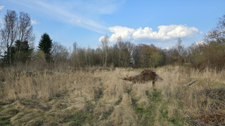 Pozemky 3900 m2, Praha - Ďáblice, ulice Na Blatech  