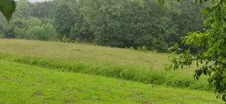Pozemky v obci Karviná - Ráj      