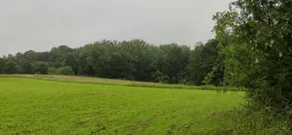 Pozemky v obci Karviná - Ráj      