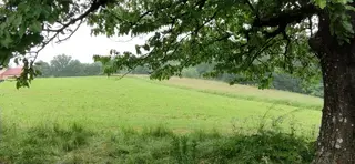 Pozemky v obci Karviná - Ráj      