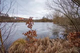 Pozemky 25.418m2 s rybníkem, Babice u Řehenic, okr. Benešov, 30 min. od Prahy