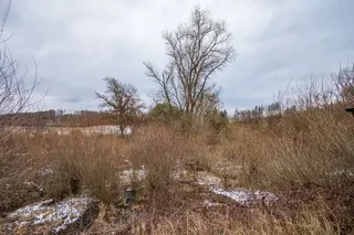 Pozemky 25.418m2 s rybníkem, Babice u Řehenic, okr. Benešov, 30 min. od Prahy