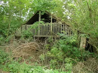 Investiční pozemky Šatov 109.820 m2 /prodej společnosti