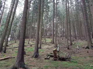Pozemky Soušice a id. 1/6 Jitkov