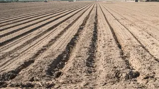 Pozemky Suchov a Nová Lhota u Veselí nad Moravou, okres Hodonín