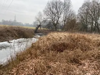 Pozemky Třebechovice pod Orebem, okres Hradec Králové