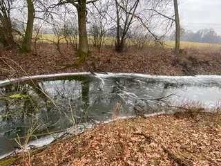 Pozemky Třebechovice pod Orebem, okres Hradec Králové