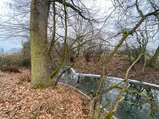 Pozemky Třebechovice pod Orebem, okres Hradec Králové