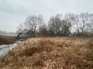 Pozemky Třebechovice pod Orebem, okres Hradec Králové