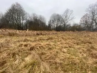 Pozemky Třebechovice pod Orebem, okres Hradec Králové