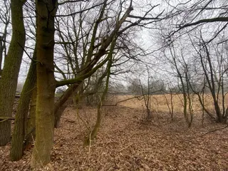 Pozemky Třebechovice pod Orebem, okres Hradec Králové