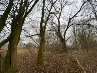 Pozemky Třebechovice pod Orebem, okres Hradec Králové