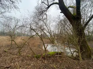 Pozemky Třebechovice pod Orebem, okres Hradec Králové