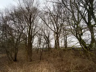 Pozemky Třebechovice pod Orebem, okres Hradec Králové