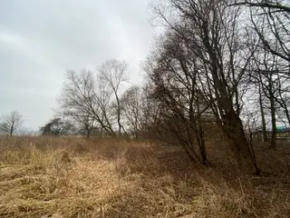 Pozemky Třebechovice pod Orebem, okres Hradec Králové