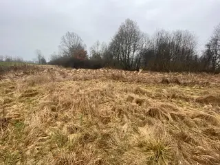 Pozemky Třebechovice pod Orebem, okres Hradec Králové