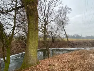 Pozemky Třebechovice pod Orebem, okres Hradec Králové
