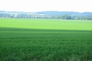 Pozemky v k.ú. Běstviny