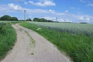 Pozemky v k.ú. Běstviny