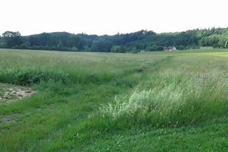 Pozemky v k.ú. Běstviny