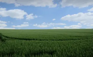 Pozemky v k.ú. Náchod u Tábora, okres Tábor