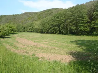 Pozemky v k.ú. Zakšín - spoluvlastnický podíl 1/2 , SSČK