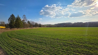 Pozemky cca 200.000m2 v obci Dolní Hbity - Jelence