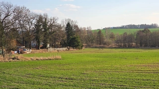 Pozemky cca 200.000m2 v obci Dolní Hbity - Jelence