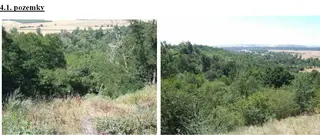Pozemky Velichov u Žatce, okres Louny