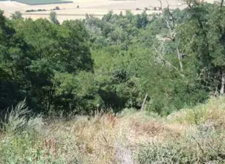 Pozemky Velichov u Žatce, okres Louny