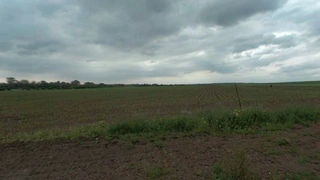 Pozemky Velké Bílovice