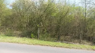 Pozemky Vyklice, obec Chabařovice