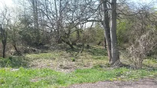 Pozemky Vyklice, obec Chabařovice