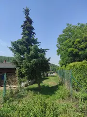 Zemědělská  půda Zlín, k.ú. Štípa - spoluvlastnický podíl id. 1/13 k celkové ploše 939 m2