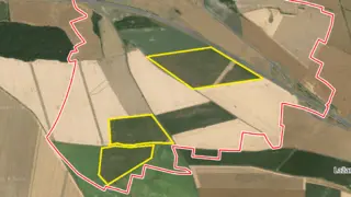 Prodej plantáže rychle rostoucích dřevin - Droužkovice, Nezabylice a Všehrdy (Chomutov).