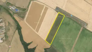 Prodej plantáže rychle rostoucích dřevin - Droužkovice, Nezabylice a Všehrdy (Chomutov).