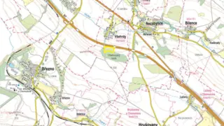 Prodej plantáže rychle rostoucích dřevin - Droužkovice, Nezabylice a Všehrdy (Chomutov).