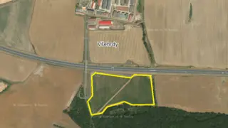 Prodej plantáže rychle rostoucích dřevin - Droužkovice, Nezabylice a Všehrdy (Chomutov).