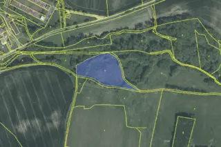 Prodej plantáže rychle rostoucích dřevin - Malé Heraltice (Opava)