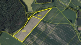 Prodej plantáže rychle rostoucích dřevin – Moraveč (Pelhřimov)